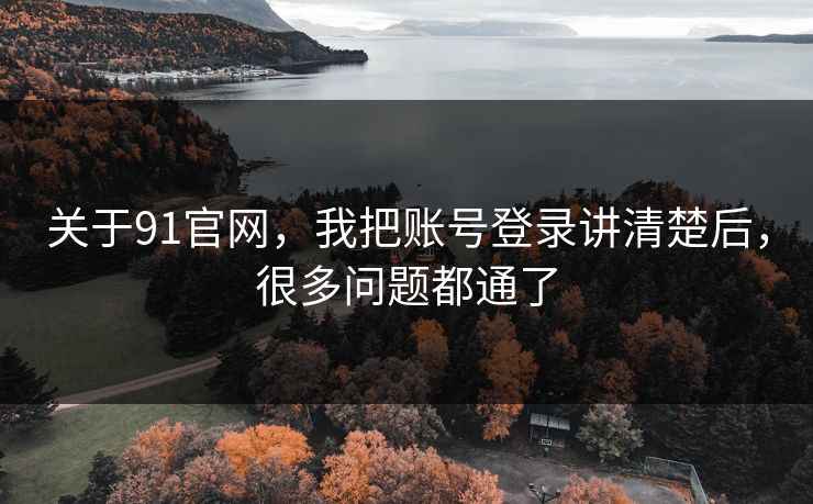 关于91官网,我把账号登录讲清楚后,很多问题都通了