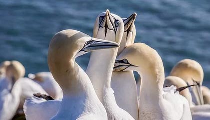 老师小扫货水能么多叫出来：那些被忽略的教育宝藏与生活智慧