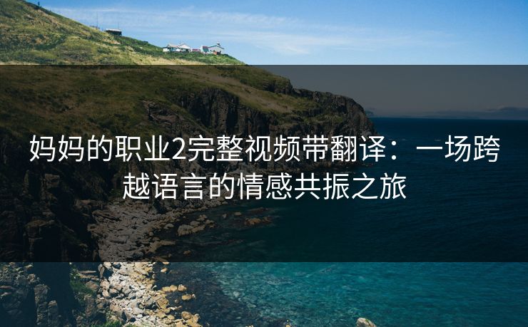 妈妈的职业2完整视频带翻译：一场跨越语言的情感共振之旅
